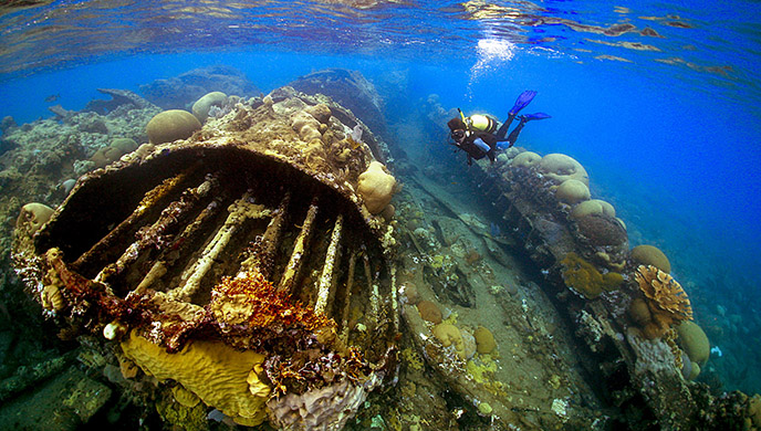A scuba diver swims near a large, rusted shipwreck covered in coral and marine life on the ocean floor in clear blue water. | Cubaecology